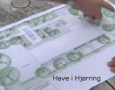 Haveplan for enkel have med stramt havedsign af havearkitekt Hanne Lynge Jacobsen